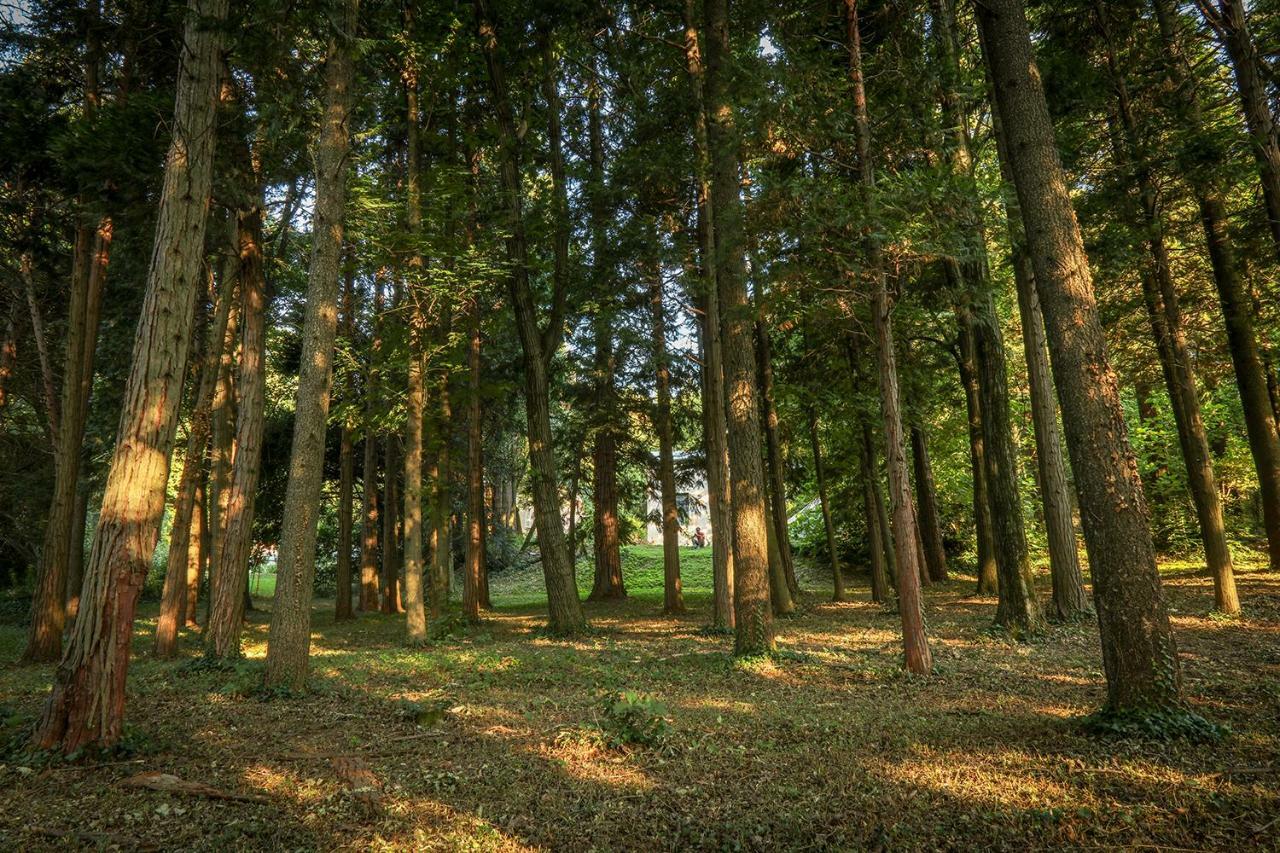 Le Clos D'Abrigeon Обена Экстерьер фото